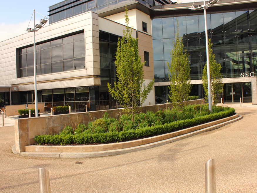 Tully Landscapes Santry Sports Surgery Clinic