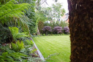 Turf Grass Lawn with Limestone Strip edging