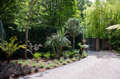 Specimen Planting, Nida-Gravel Driveway