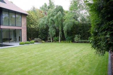 Large Lawn, Specimen planting
