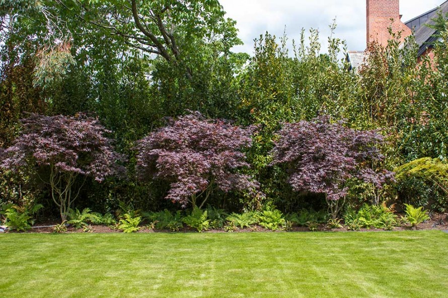 Tully Landscapes Ballsbridge