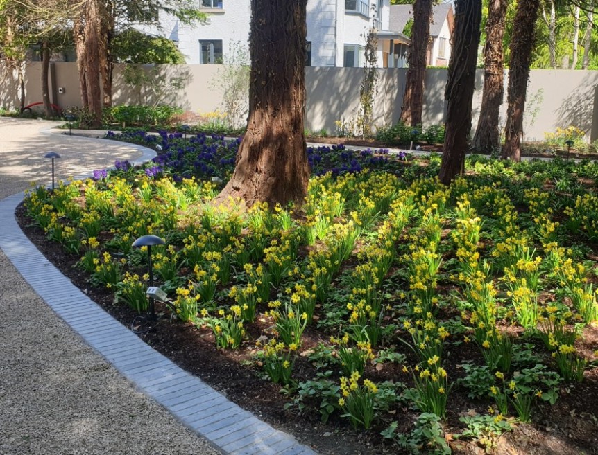 Tully Landscapes Malahide Myra Manor